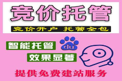搜索引擎营销的新趋势——SEM竞价推广案例解析